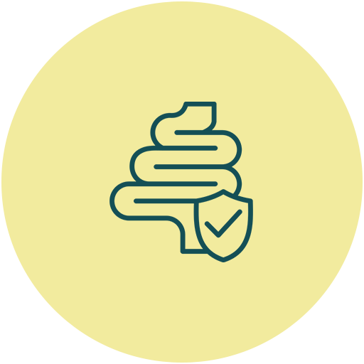 Gut