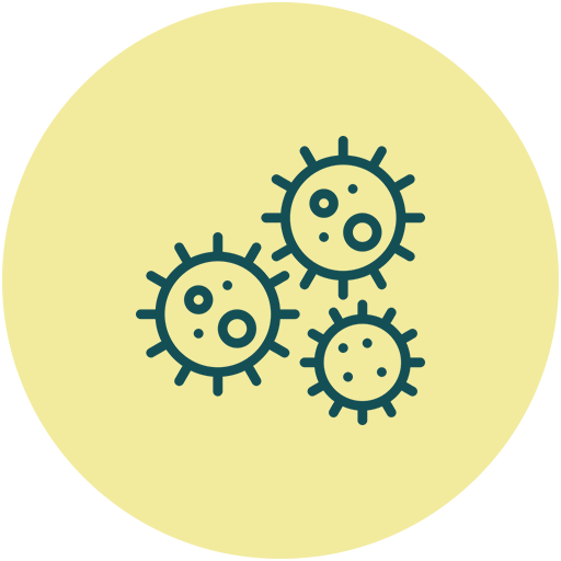 Virus
